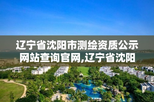 遼寧省沈陽市測繪資質公示網站查詢官網,遼寧省沈陽市測繪資質公示網站查詢官網下載。