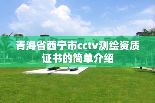 青海省西寧市cctv測繪資質證書的簡單介紹