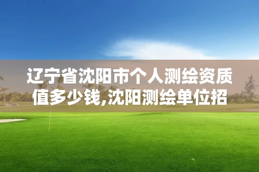 遼寧省沈陽市個人測繪資質值多少錢,沈陽測繪單位招聘。