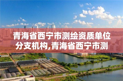 青海省西寧市測繪資質單位分支機構,青海省西寧市測繪院。