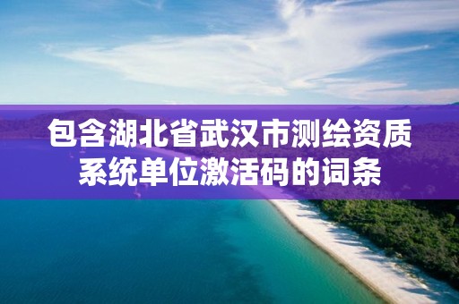 包含湖北省武漢市測繪資質系統單位激活碼的詞條