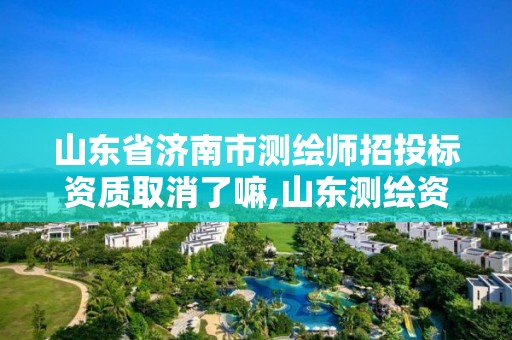 山東省濟南市測繪師招投標資質取消了嘛,山東測繪資質代理。