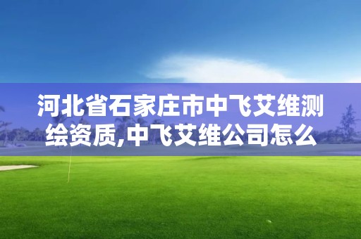 河北省石家莊市中飛艾維測繪資質,中飛艾維公司怎么樣。