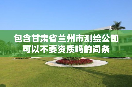 包含甘肅省蘭州市測繪公司可以不要資質嗎的詞條