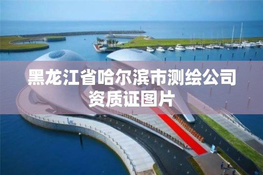 黑龍江省哈爾濱市測繪公司資質證圖片