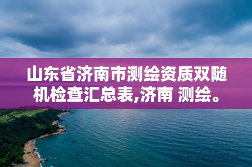 山東省濟南市測繪資質雙隨機檢查匯總表,濟南 測繪。