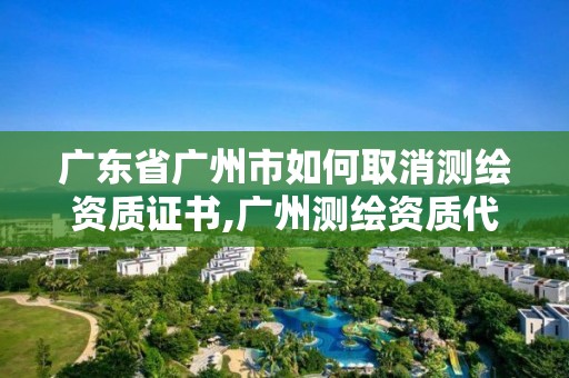 廣東省廣州市如何取消測繪資質(zhì)證書,廣州測繪資質(zhì)代辦。