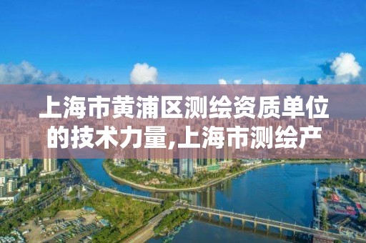 上海市黃浦區(qū)測繪資質(zhì)單位的技術(shù)力量,上海市測繪產(chǎn)品質(zhì)量。