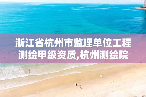 浙江省杭州市監(jiān)理單位工程測繪甲級資質(zhì),杭州測繪院是什么單位。