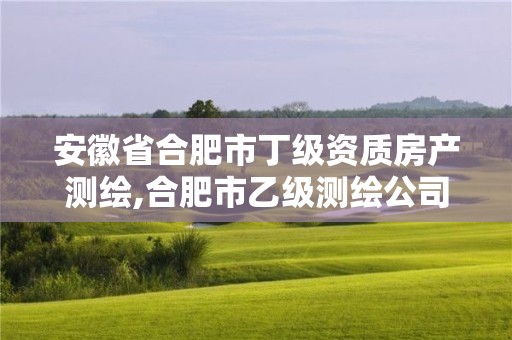 安徽省合肥市丁級(jí)資質(zhì)房產(chǎn)測(cè)繪,合肥市乙級(jí)測(cè)繪公司。