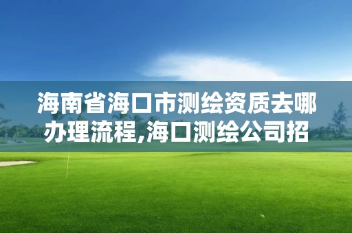 海南省?？谑袦y繪資質去哪辦理流程,?？跍y繪公司招聘。