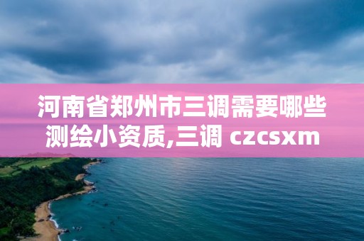 河南省鄭州市三調(diào)需要哪些測繪小資質(zhì),三調(diào) czcsxm。