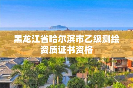 黑龍江省哈爾濱市乙級測繪資質(zhì)證書資格