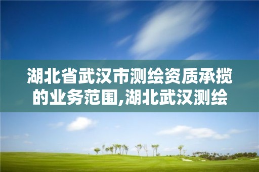 湖北省武漢市測繪資質承攬的業務范圍,湖北武漢測繪公司排行榜。