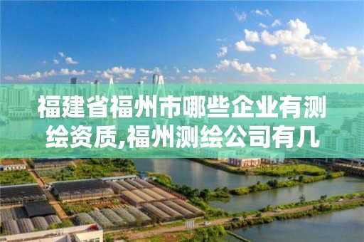 福建省福州市哪些企業有測繪資質,福州測繪公司有幾家。