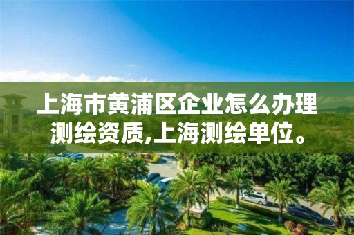 上海市黃浦區企業怎么辦理測繪資質,上海測繪單位。