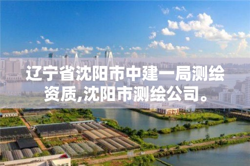 遼寧省沈陽市中建一局測繪資質(zhì),沈陽市測繪公司。