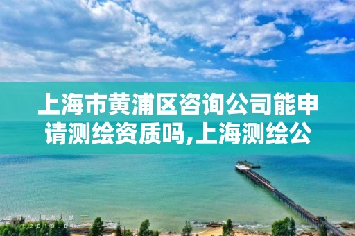 上海市黃浦區(qū)咨詢公司能申請測繪資質(zhì)嗎,上海測繪公司有哪幾家。