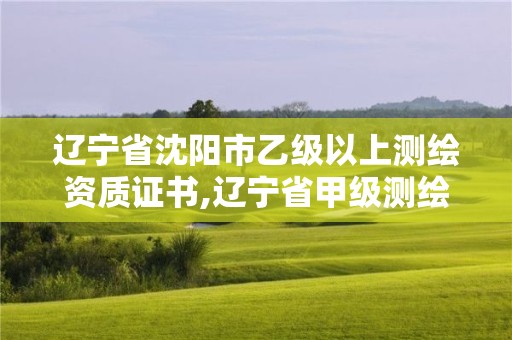 遼寧省沈陽市乙級以上測繪資質證書,遼寧省甲級測繪單位。