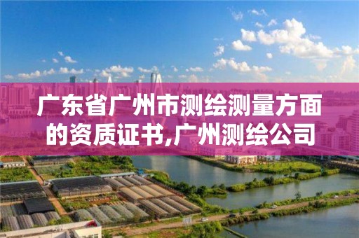 廣東省廣州市測繪測量方面的資質證書,廣州測繪公司有哪些。