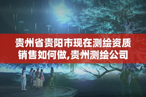 貴州省貴陽市現(xiàn)在測繪資質(zhì)銷售如何做,貴州測繪公司排名待遇。