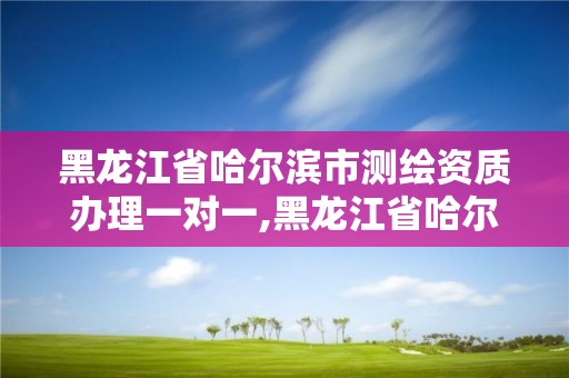 黑龍江省哈爾濱市測繪資質辦理一對一,黑龍江省哈爾濱市測繪局。