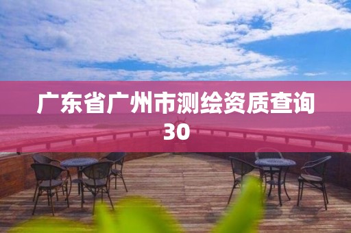 廣東省廣州市測繪資質查詢30