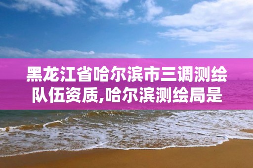 黑龍江省哈爾濱市三調(diào)測(cè)繪隊(duì)伍資質(zhì),哈爾濱測(cè)繪局是干什么的。