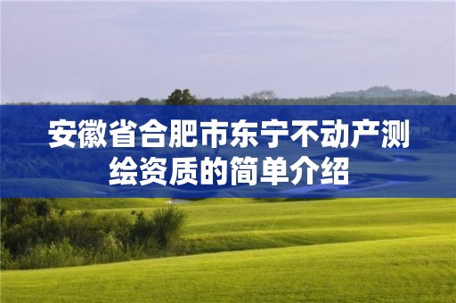 安徽省合肥市東寧不動產測繪資質的簡單介紹