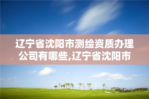 遼寧省沈陽市測繪資質辦理公司有哪些,遼寧省沈陽市測繪資質辦理公司有哪些地方。