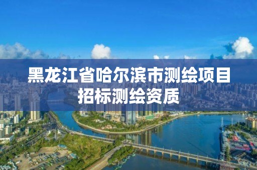 黑龍江省哈爾濱市測繪項目招標(biāo)測繪資質(zhì)