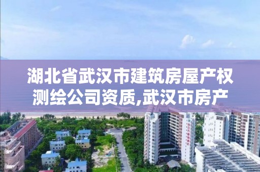 湖北省武漢市建筑房屋產權測繪公司資質,武漢市房產測繪實施細則。