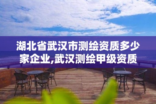 湖北省武漢市測繪資質多少家企業,武漢測繪甲級資質公司。