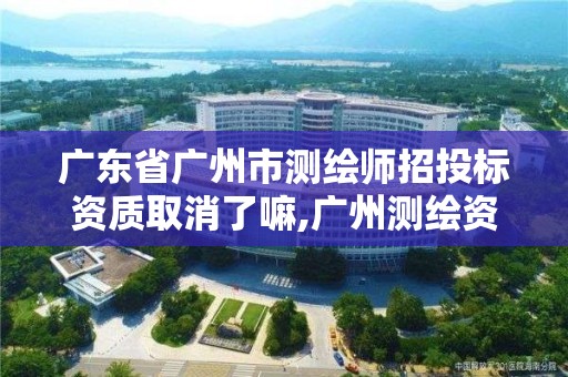 廣東省廣州市測繪師招投標資質(zhì)取消了嘛,廣州測繪資質(zhì)代辦。