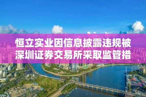 恒立實業因信息披露違規被深圳證券交易所采取監管措施