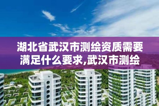 湖北省武漢市測繪資質需要滿足什么要求,武漢市測繪管理條例。