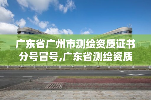 廣東省廣州市測繪資質證書分號冒號,廣東省測繪資質管理系統。