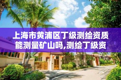 上海市黃浦區丁級測繪資質能測量礦山嗎,測繪丁級資質可以承攬業務范圍。