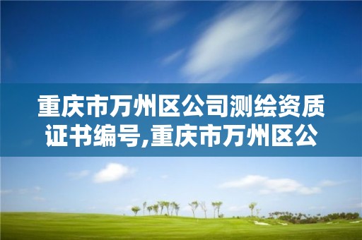 重慶市萬州區公司測繪資質證書編號,重慶市萬州區公司測繪資質證書編號是多少。