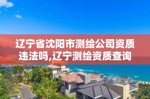 遼寧省沈陽市測繪公司資質違法嗎,遼寧測繪資質查詢。