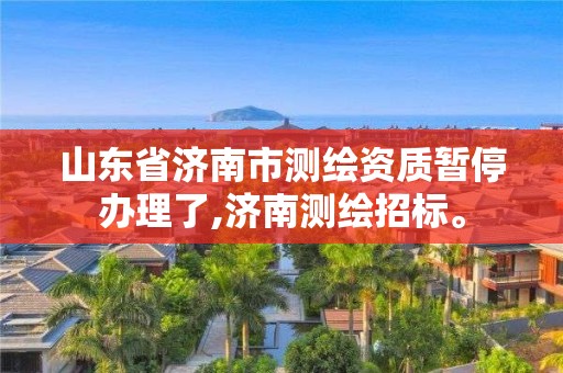 山東省濟南市測繪資質暫停辦理了,濟南測繪招標。