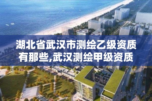 湖北省武漢市測繪乙級資質有那些,武漢測繪甲級資質公司。