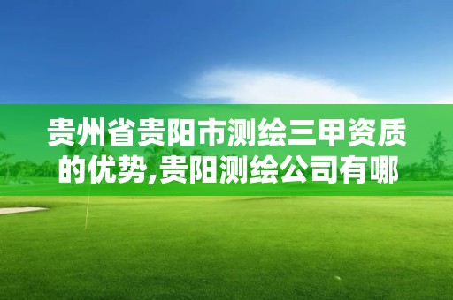 貴州省貴陽市測繪三甲資質的優勢,貴陽測繪公司有哪些。