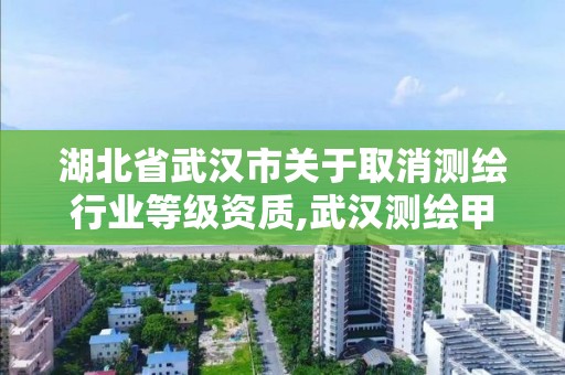 湖北省武漢市關于取消測繪行業等級資質,武漢測繪甲級資質公司。