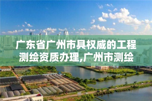 廣東省廣州市具權威的工程測繪資質辦理,廣州市測繪收費標準。