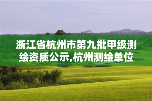 浙江省杭州市第九批甲級(jí)測(cè)繪資質(zhì)公示,杭州測(cè)繪單位招聘。