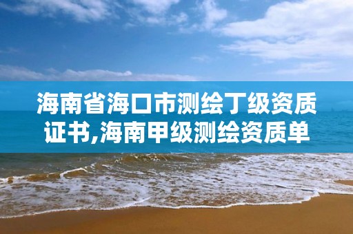 海南省海口市測繪丁級資質證書,海南甲級測繪資質單位。