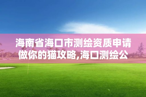 海南省海口市測繪資質申請做你的貓攻略,?？跍y繪公司招聘。