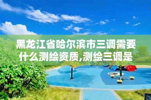 黑龍江省哈爾濱市三調(diào)需要什么測(cè)繪資質(zhì),測(cè)繪三調(diào)是什么。