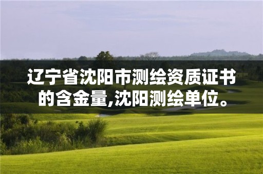 遼寧省沈陽(yáng)市測(cè)繪資質(zhì)證書(shū)的含金量,沈陽(yáng)測(cè)繪單位。